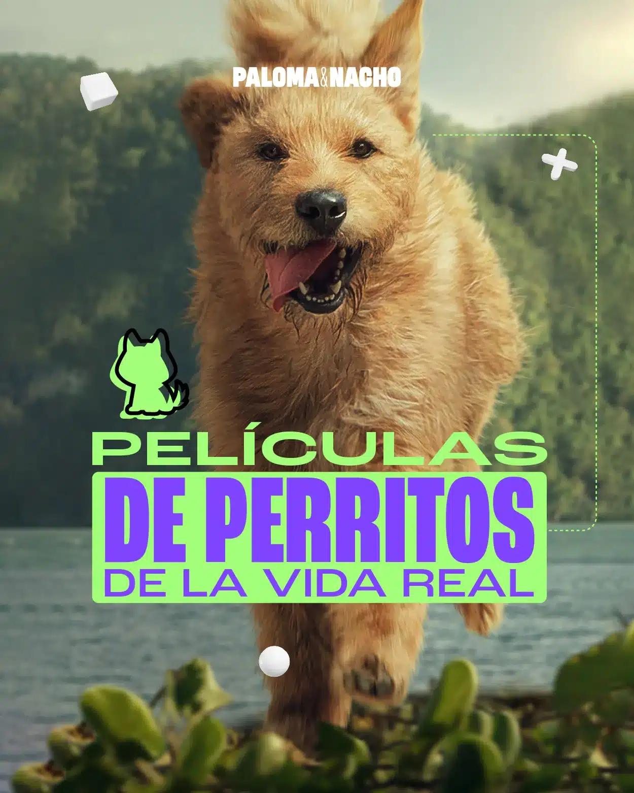 Mark Wahlberg Arthur perrito película