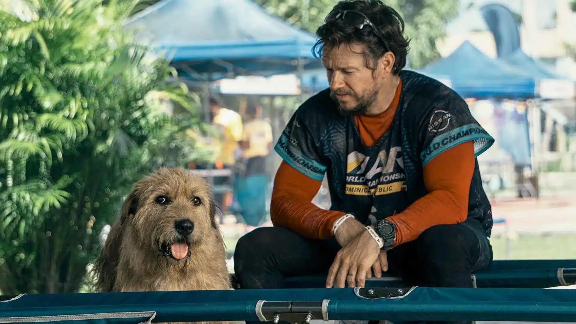 Mark Wahlberg película Arthur perrito