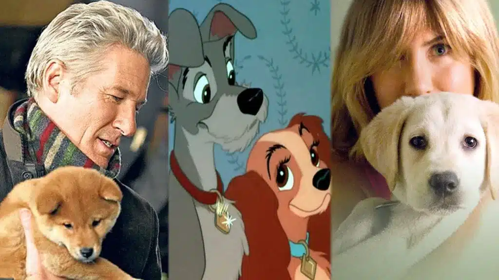 5 películas de perritos que seguramente te harán llorar