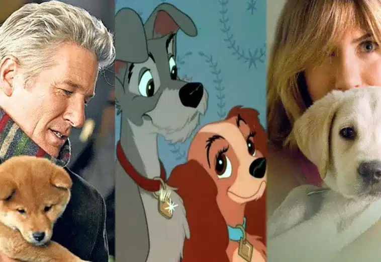 5 películas de perritos que seguramente te harán llorar