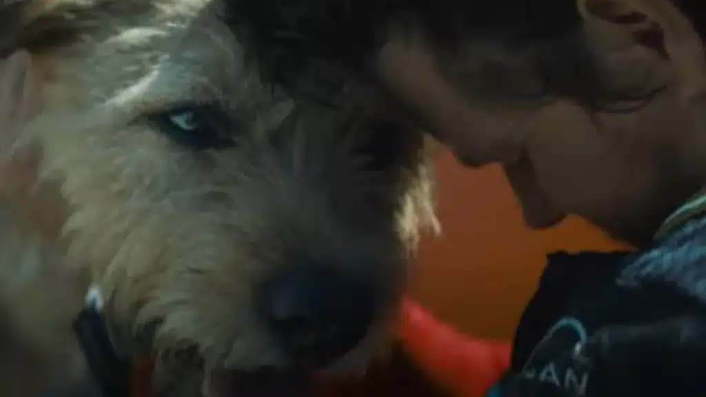 Arthur, The King: la verdadera historia del perro ecuatoriano