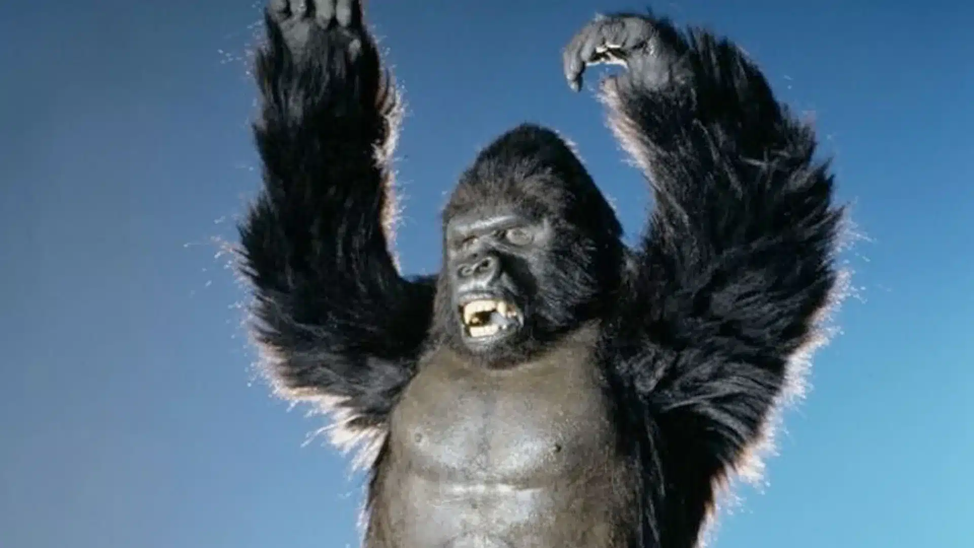 King Kong de los 70's