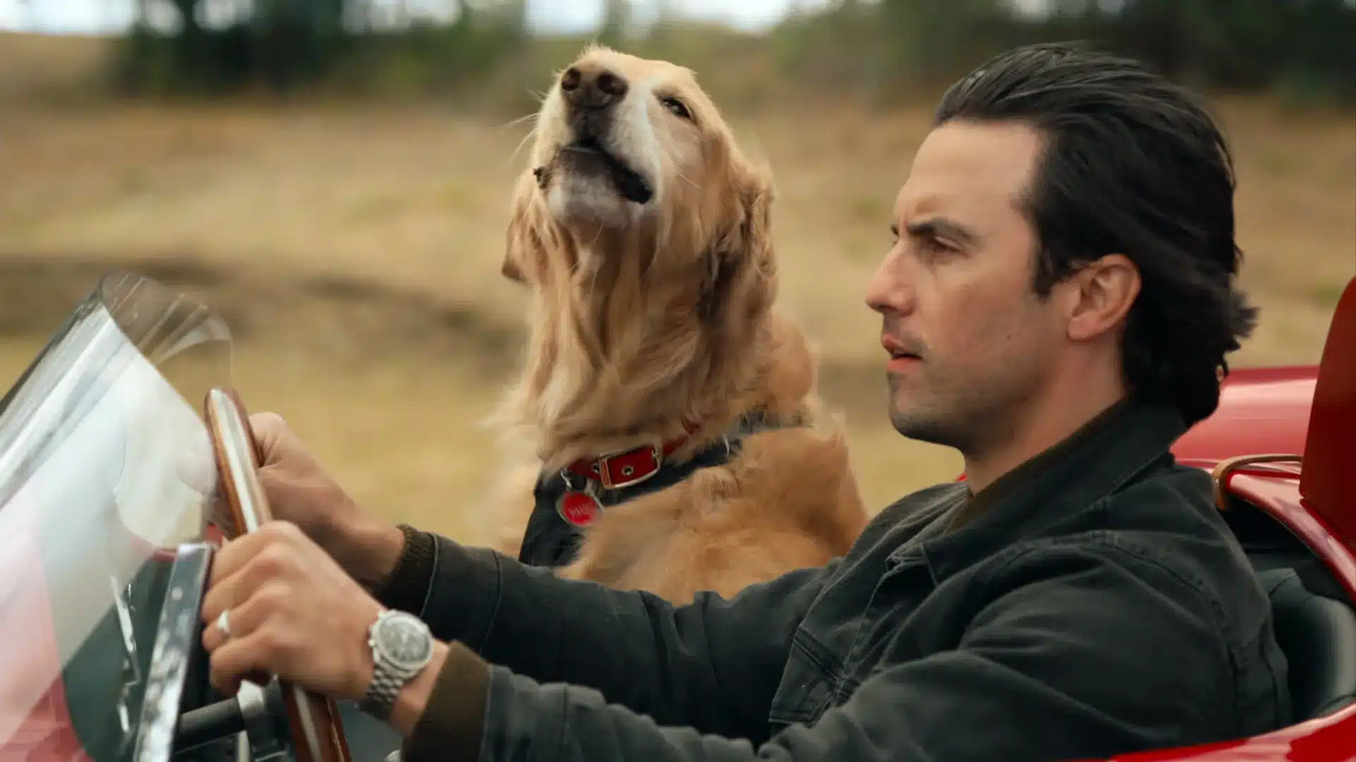 Mi amigo Enzo Milo Ventimiglia escena manejando 