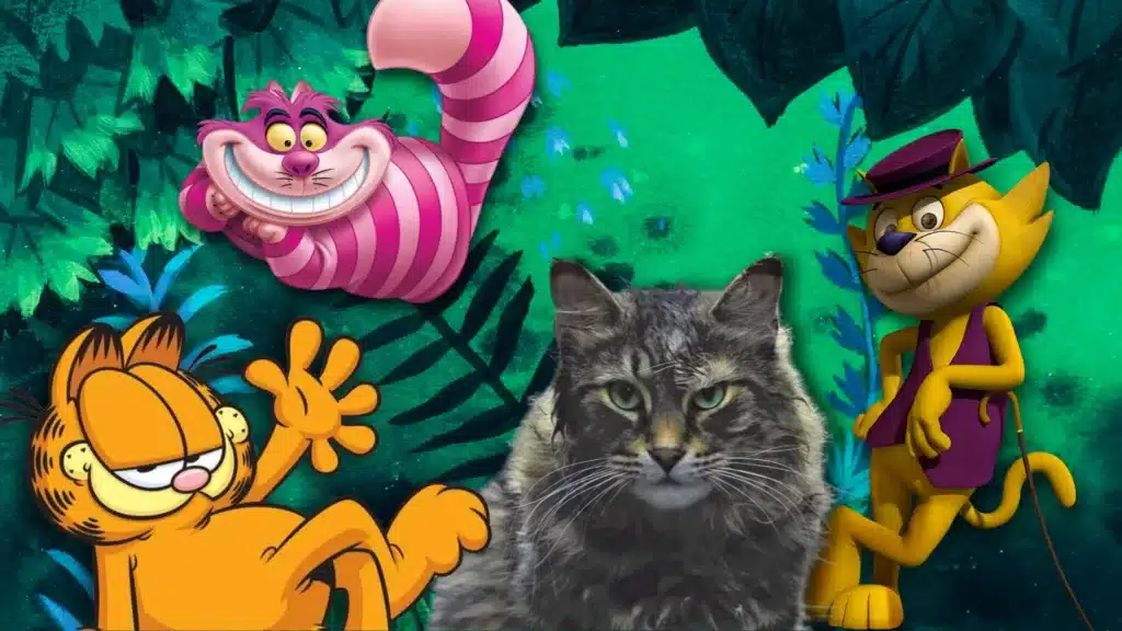 ¡Miau! Estos son los mejores gatos del cine