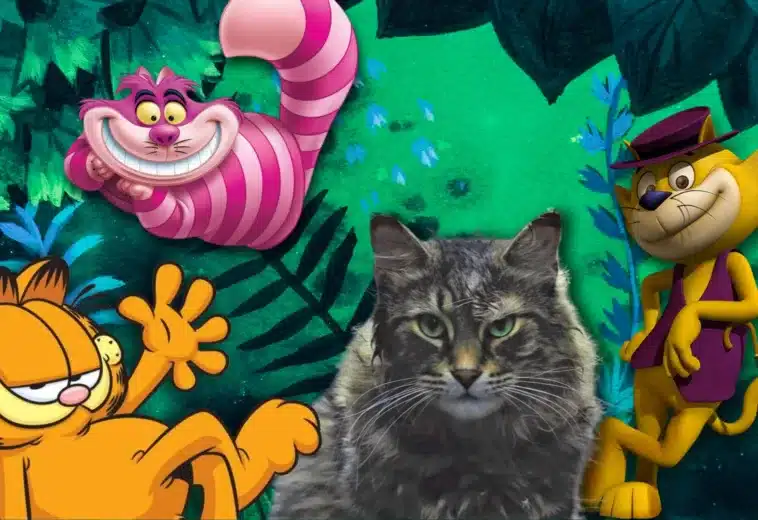 ¡Miau! Estos son los mejores gatos del cine