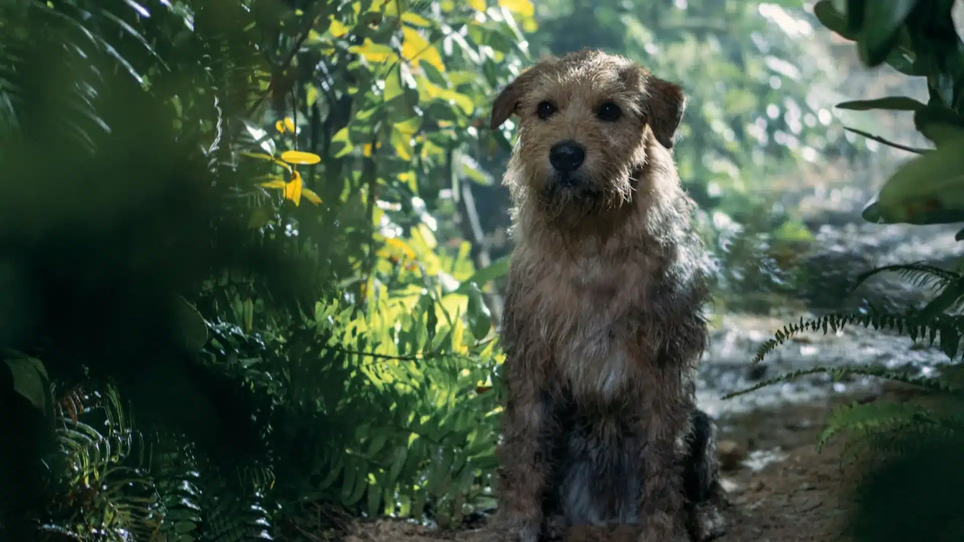 República Dominicana es el territorio donde se filmó Arthur the King