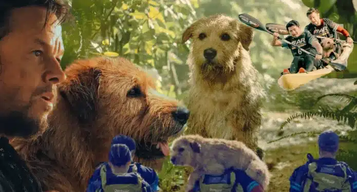 Razones para ver Arthur the King, la historia increíble de un perro extraordinario