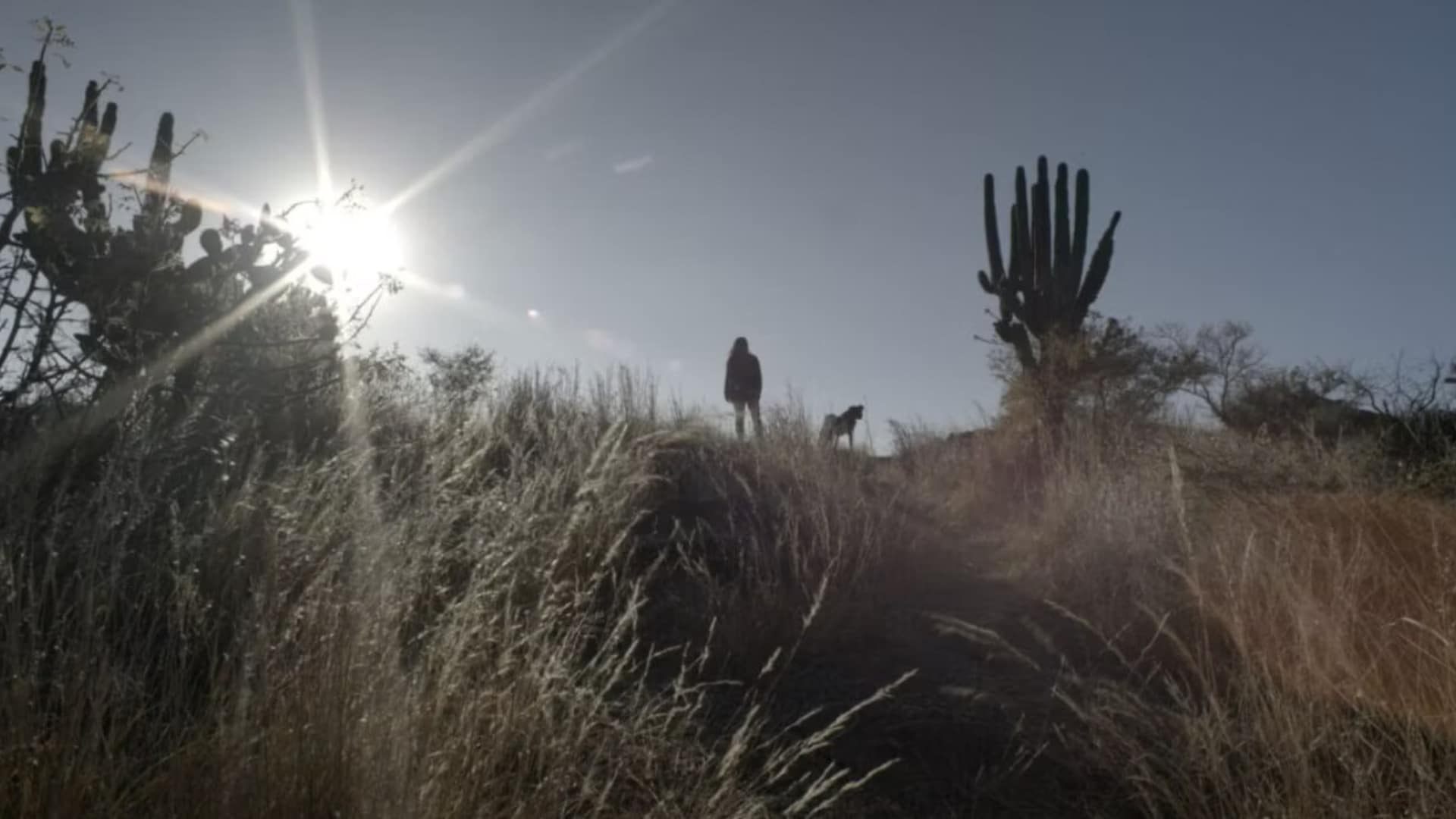 Sujo película por qué verla en Sundance 