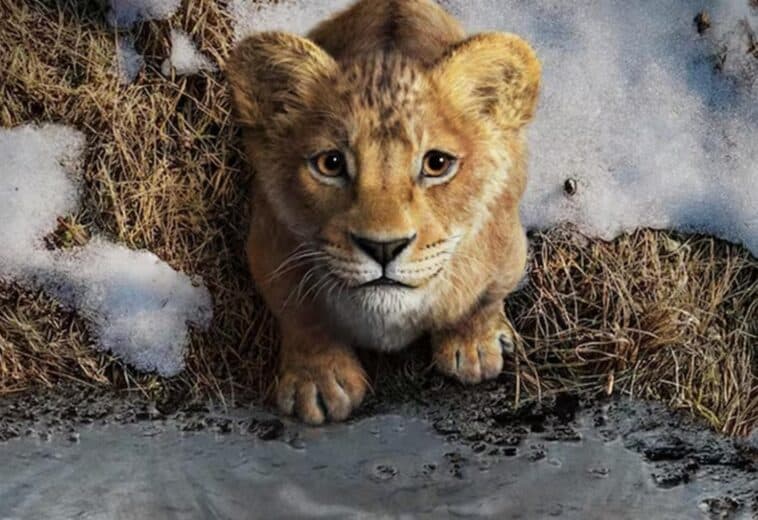 Tráiler y todo lo que tienes que saber del live-action de Mufasa: El rey león