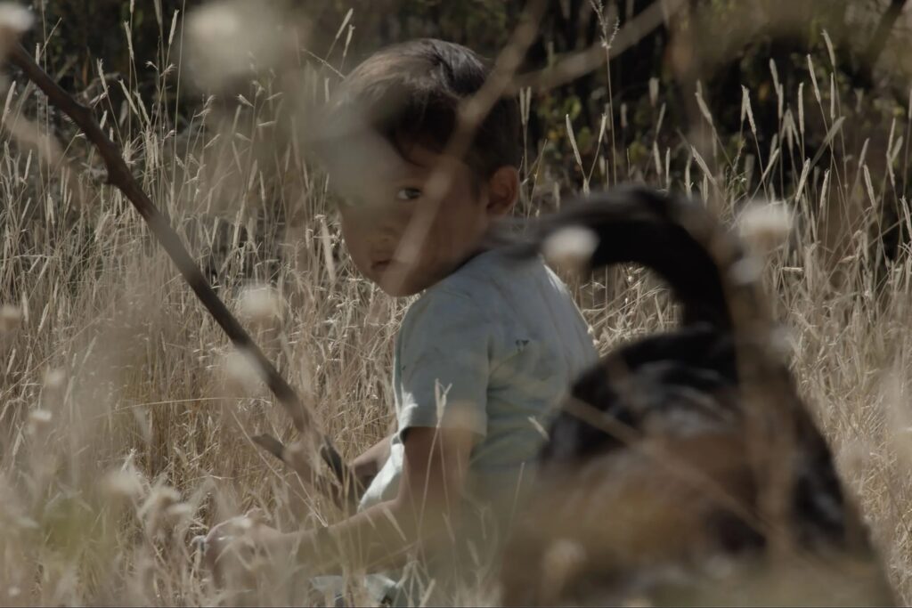 Sujo: Hijo de sicario – Tráiler y todo lo que debes saber