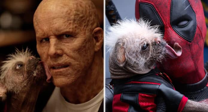 Dogpool en Deadpool y Wolverine