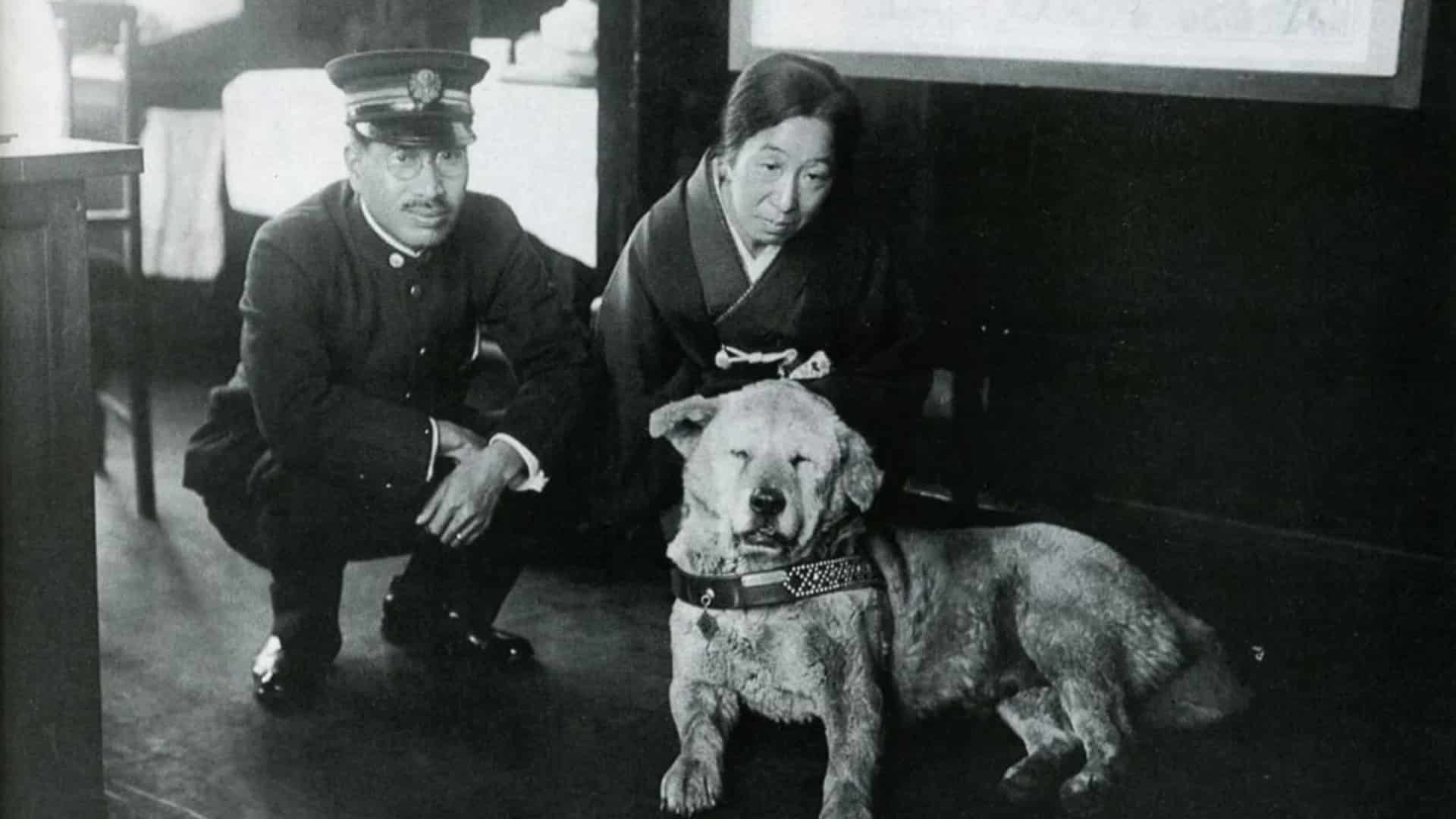 Hachiko en la estación