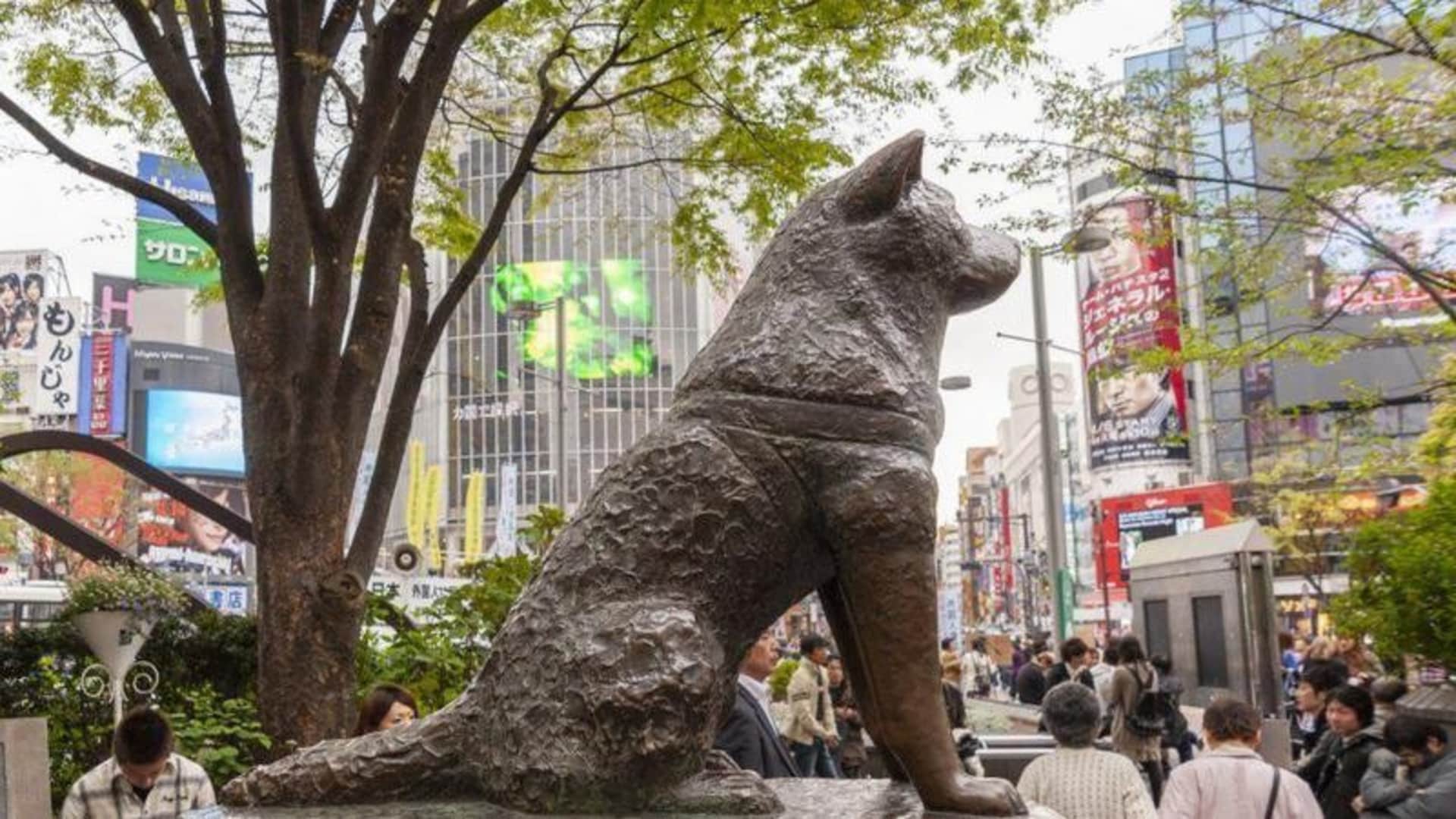 Estatua de perro