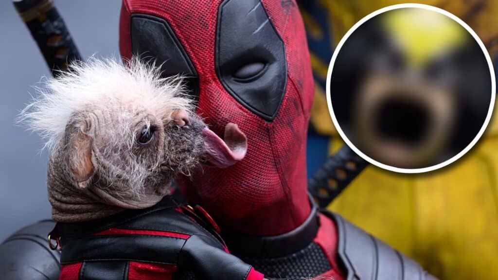 ¡Ya salió la palomera oficial de Deadpool & Wolverine! Checa cómo luce