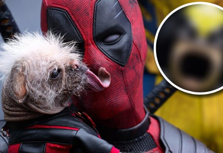 ¡Ya salió la palomera oficial de Deadpool & Wolverine! Checa cómo luce