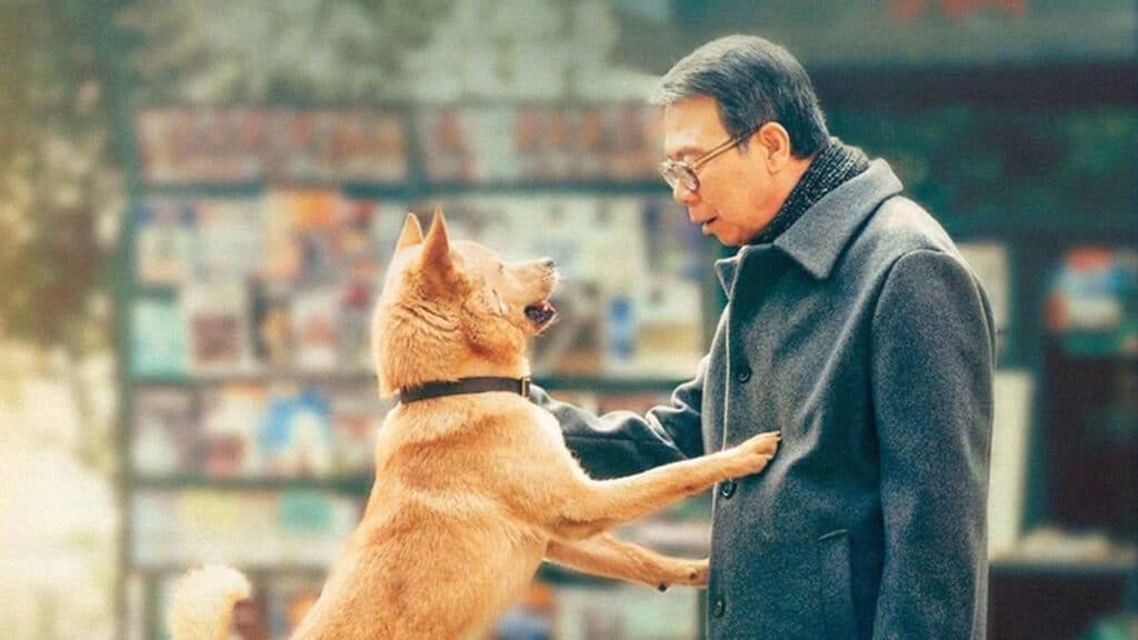 ¿Por qué ver Hachiko: Una historia verdadera?