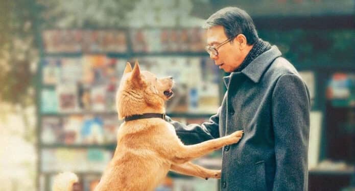 Hachiko: Una historia verdadera por qué ver