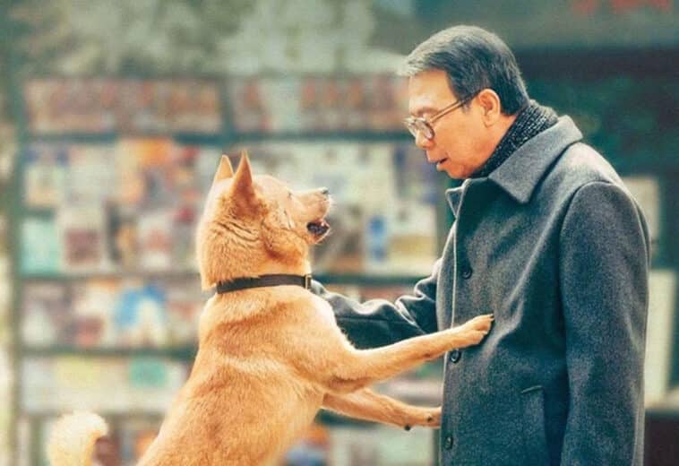 ¿Por qué ver Hachiko: Una historia verdadera?