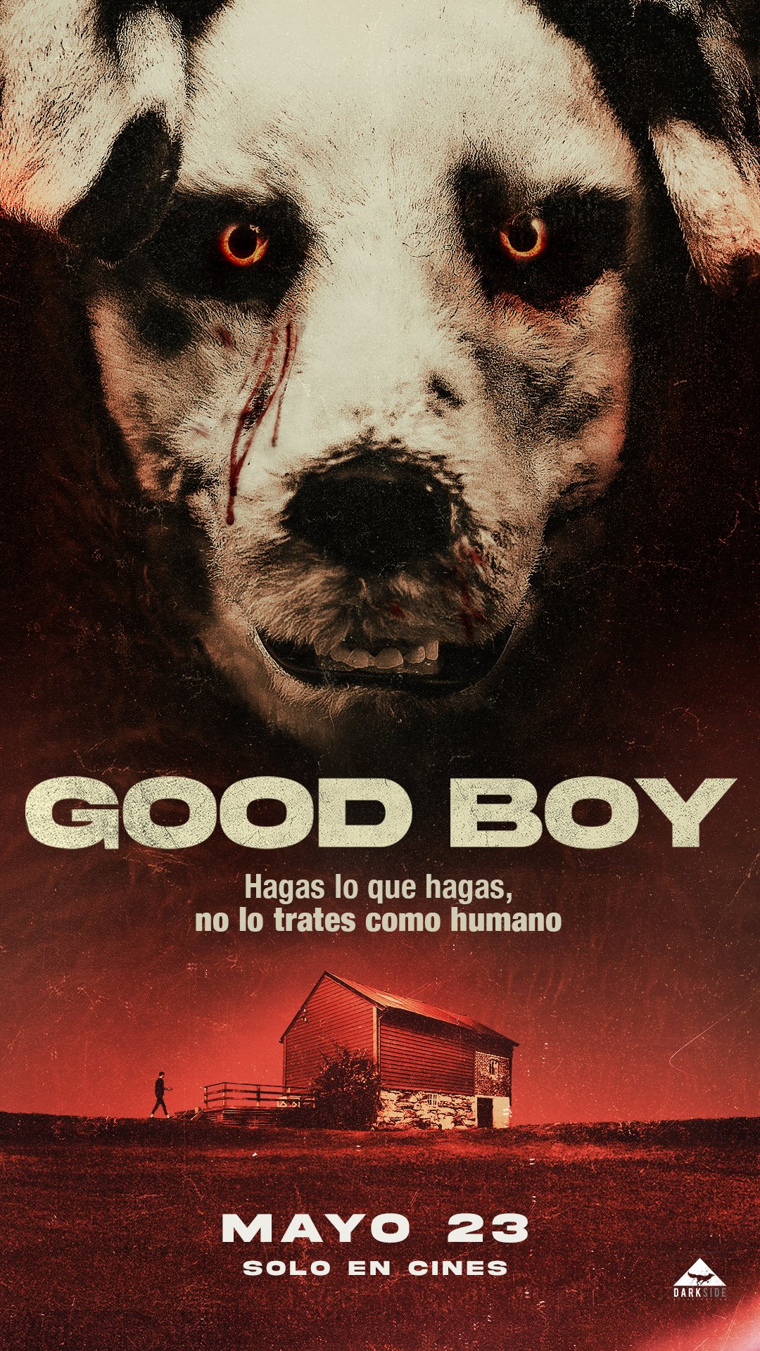 tráiler good boy