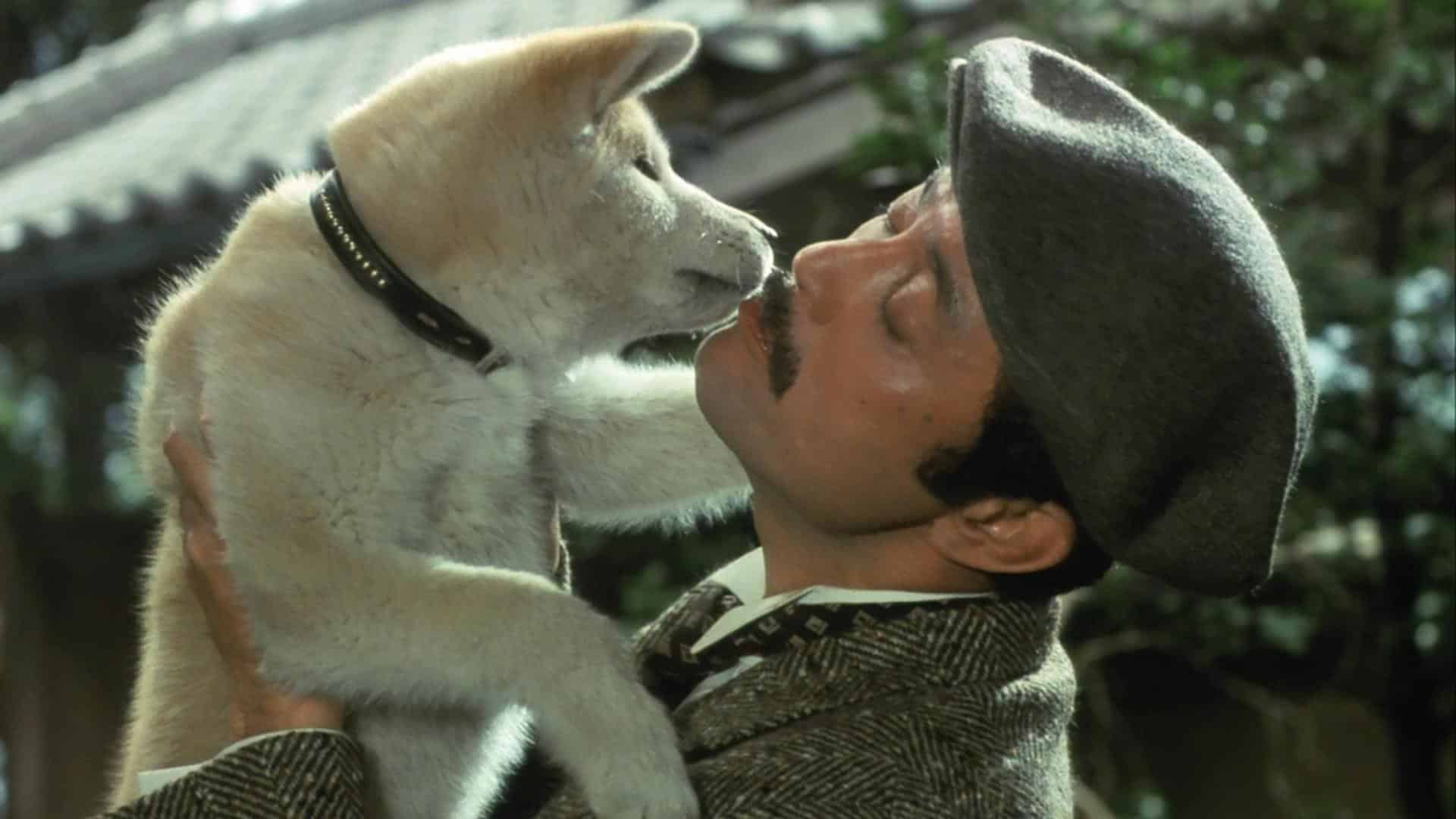 películas hachiko