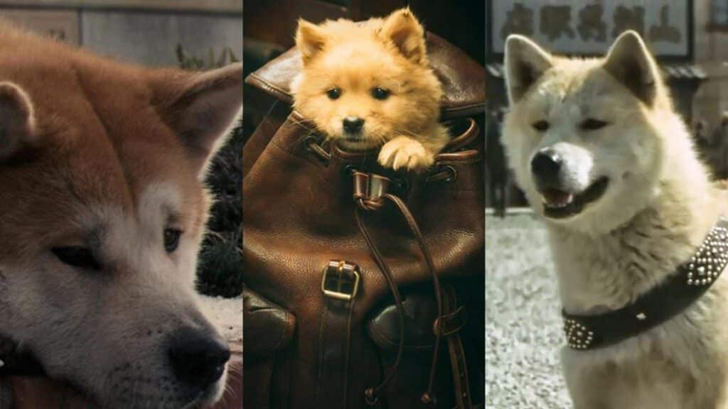 Hachiko: Conoce las diferencias entre las tres versiones fílmicas de la historia