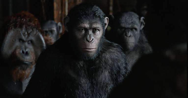 ¡Apuntan a lo grande! No adivinarás cuántas películas más preparan de El planeta de los simios