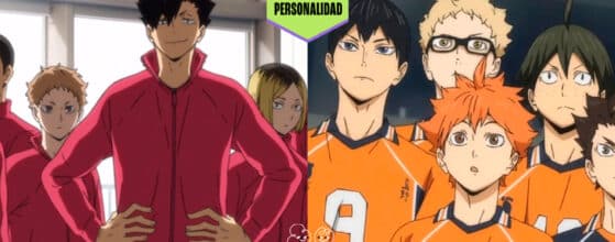 Quiz: ¿Qué equipo serías en Haikyu!?