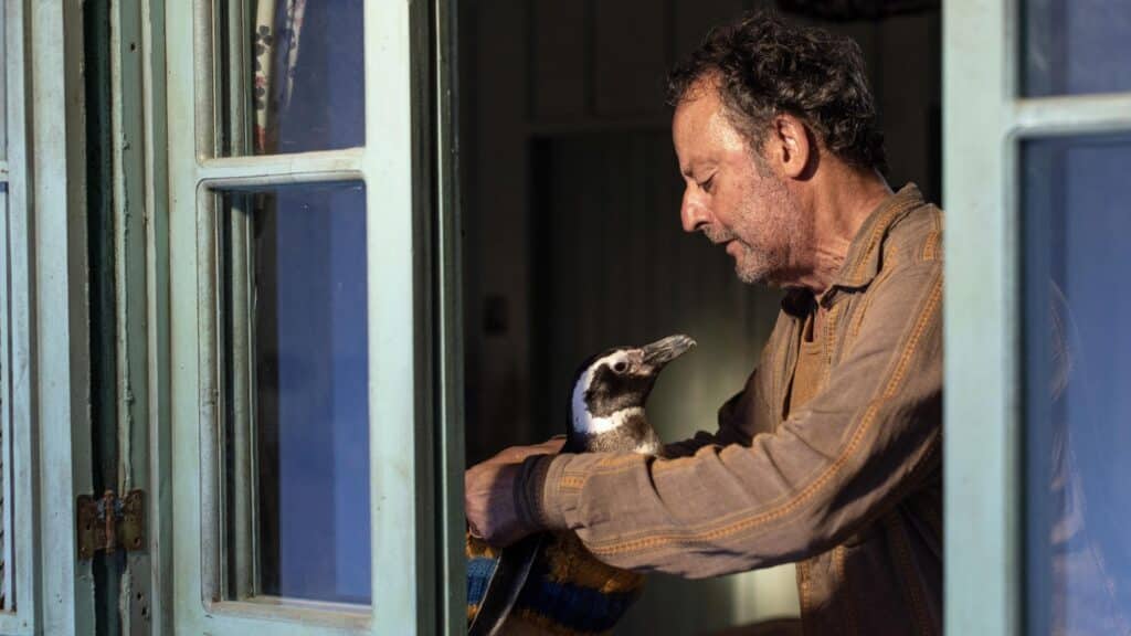 Tráiler y todo sobre Mi amigo el pingüino, con Jean Reno y Adriana Barraza