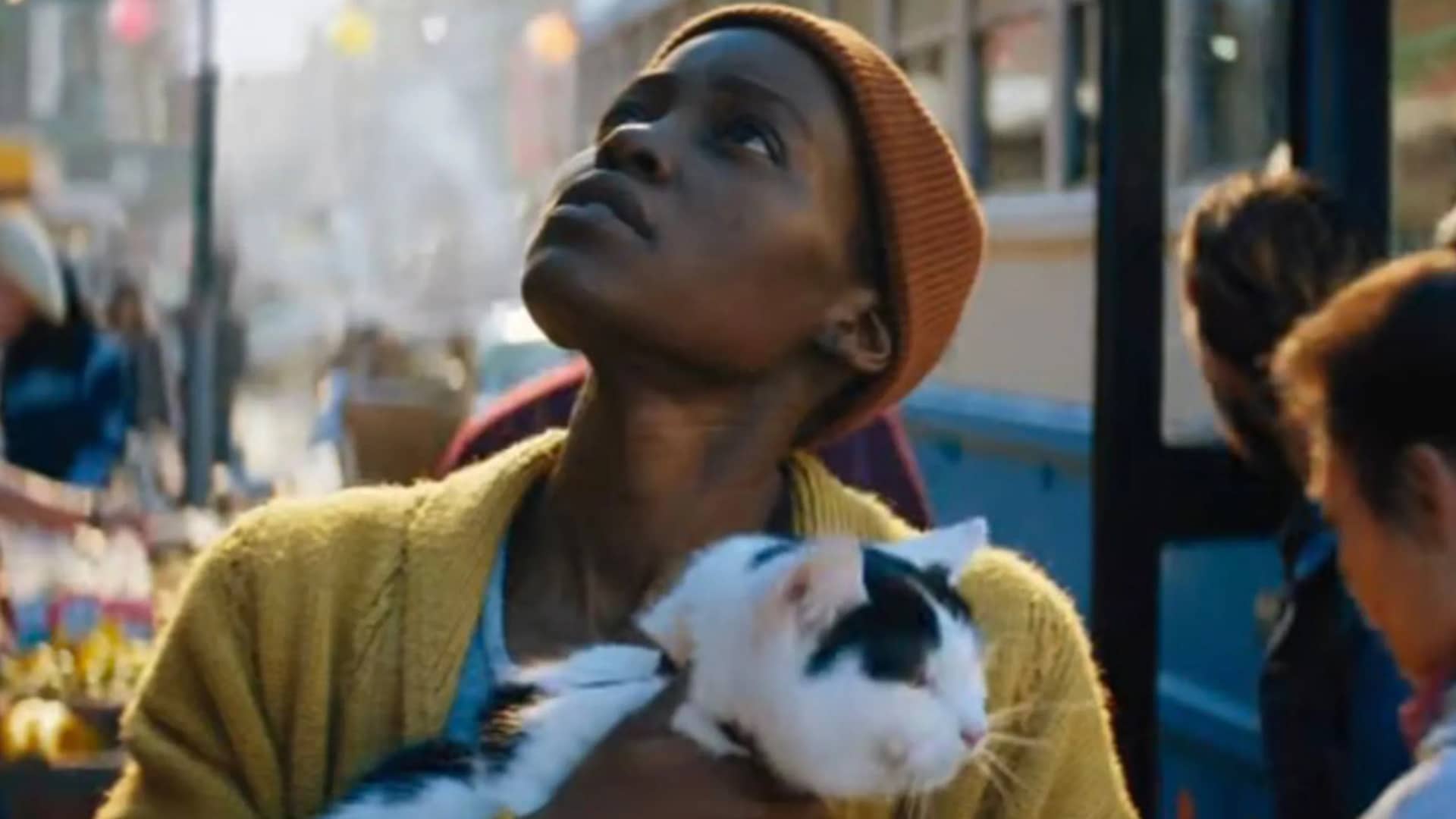 Lupita Nyong'o gato 