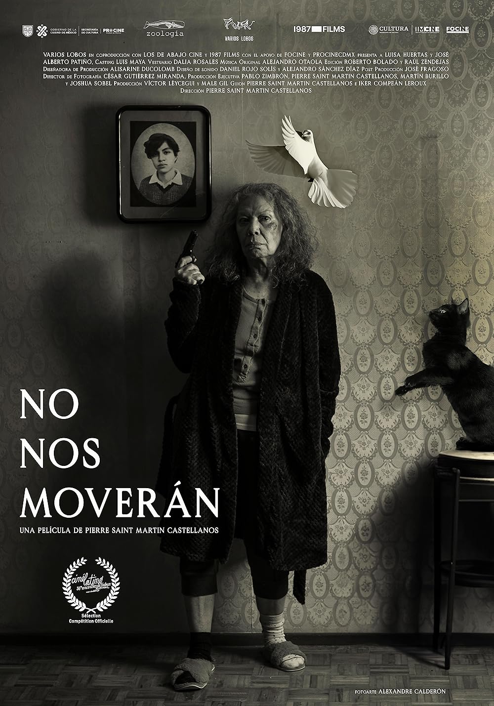 Póster No nos moverán película