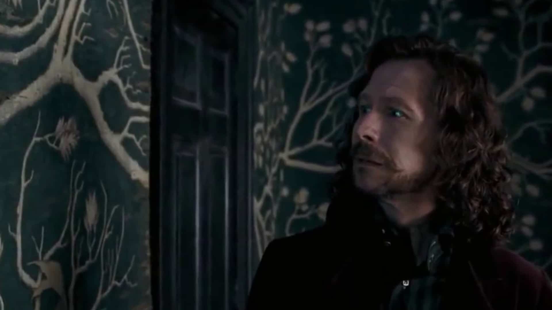 Sirius Black El cáliz de fuego 