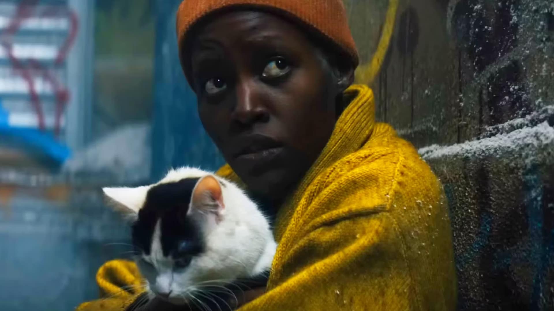 Lupita Nyong´o gato