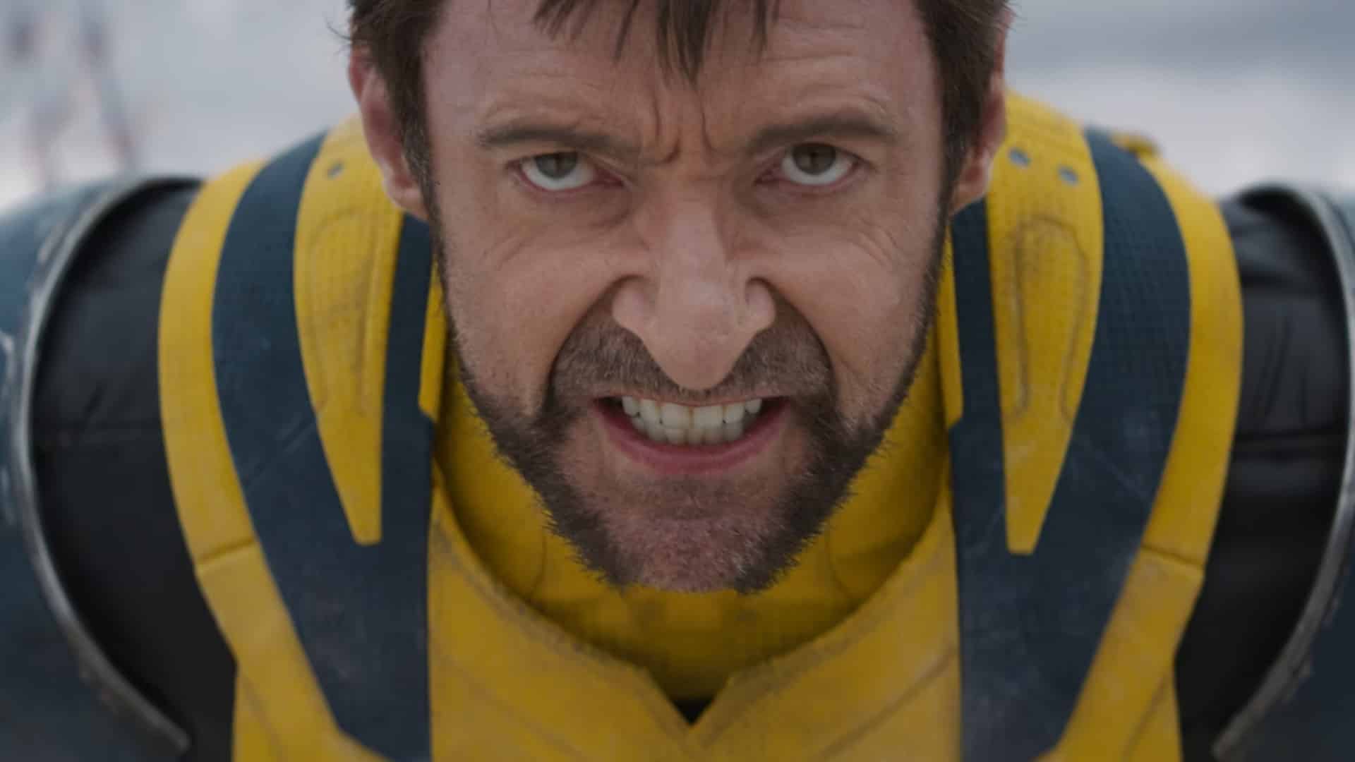 Wolverine