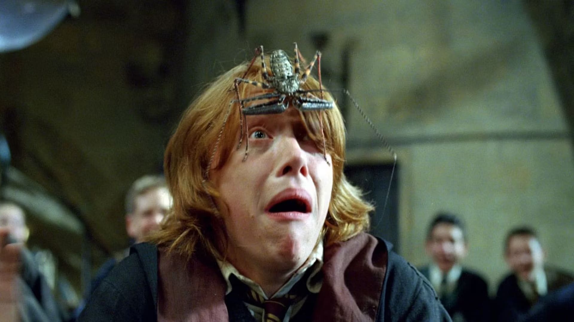 Rupert Grint miedo arañas