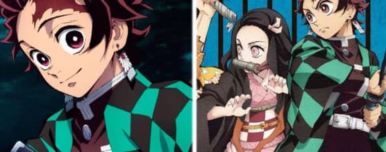 Demon Slayer anime arcos