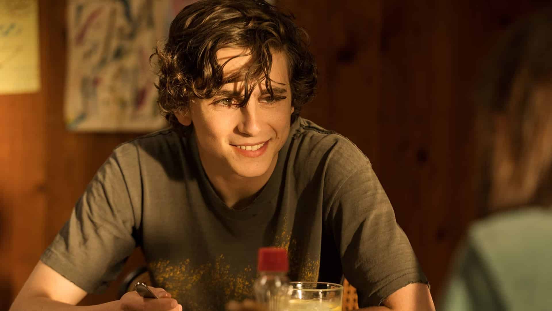 Timothée Chalamet en Beautiful Boy