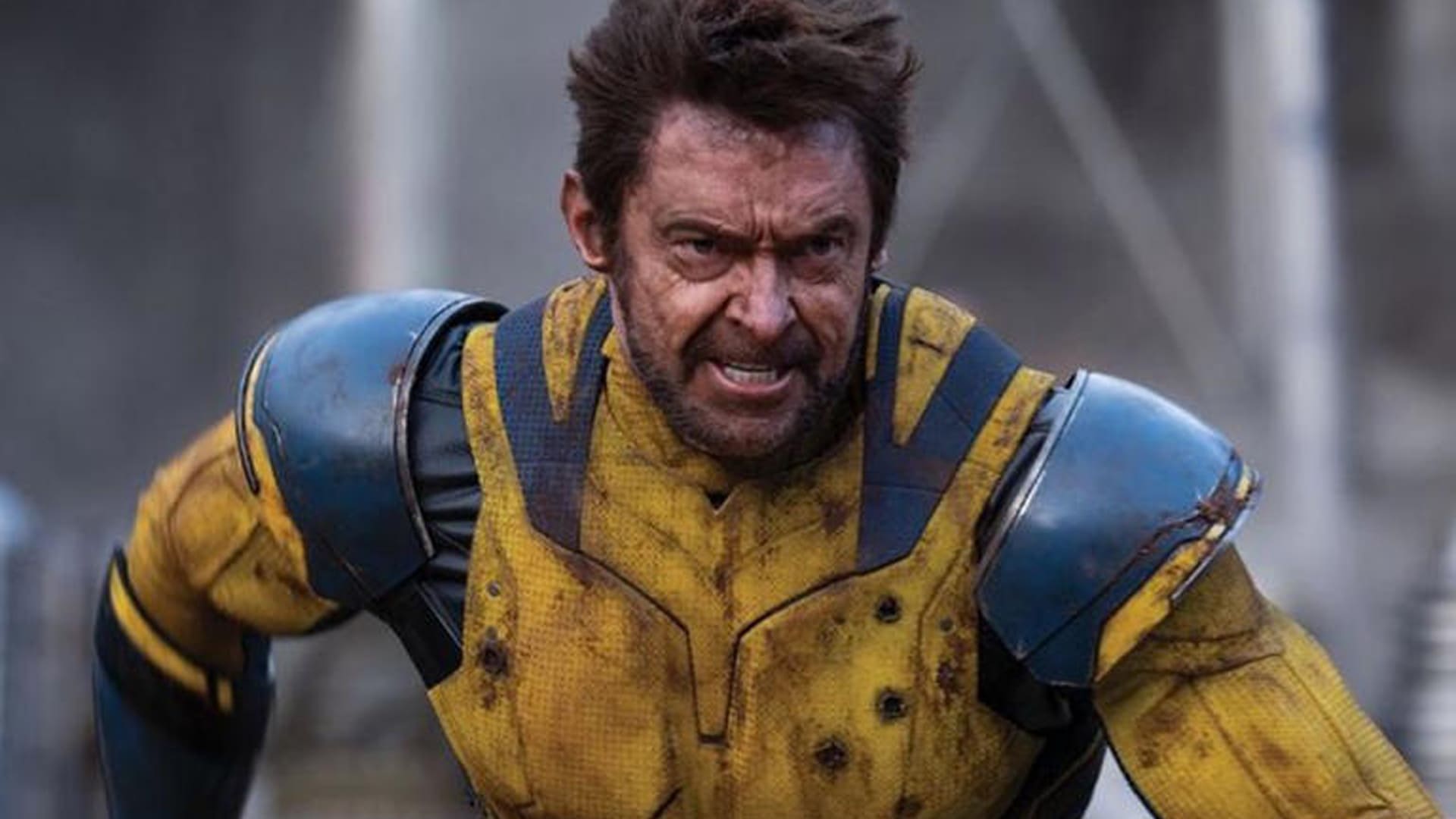 Wolverine trajes