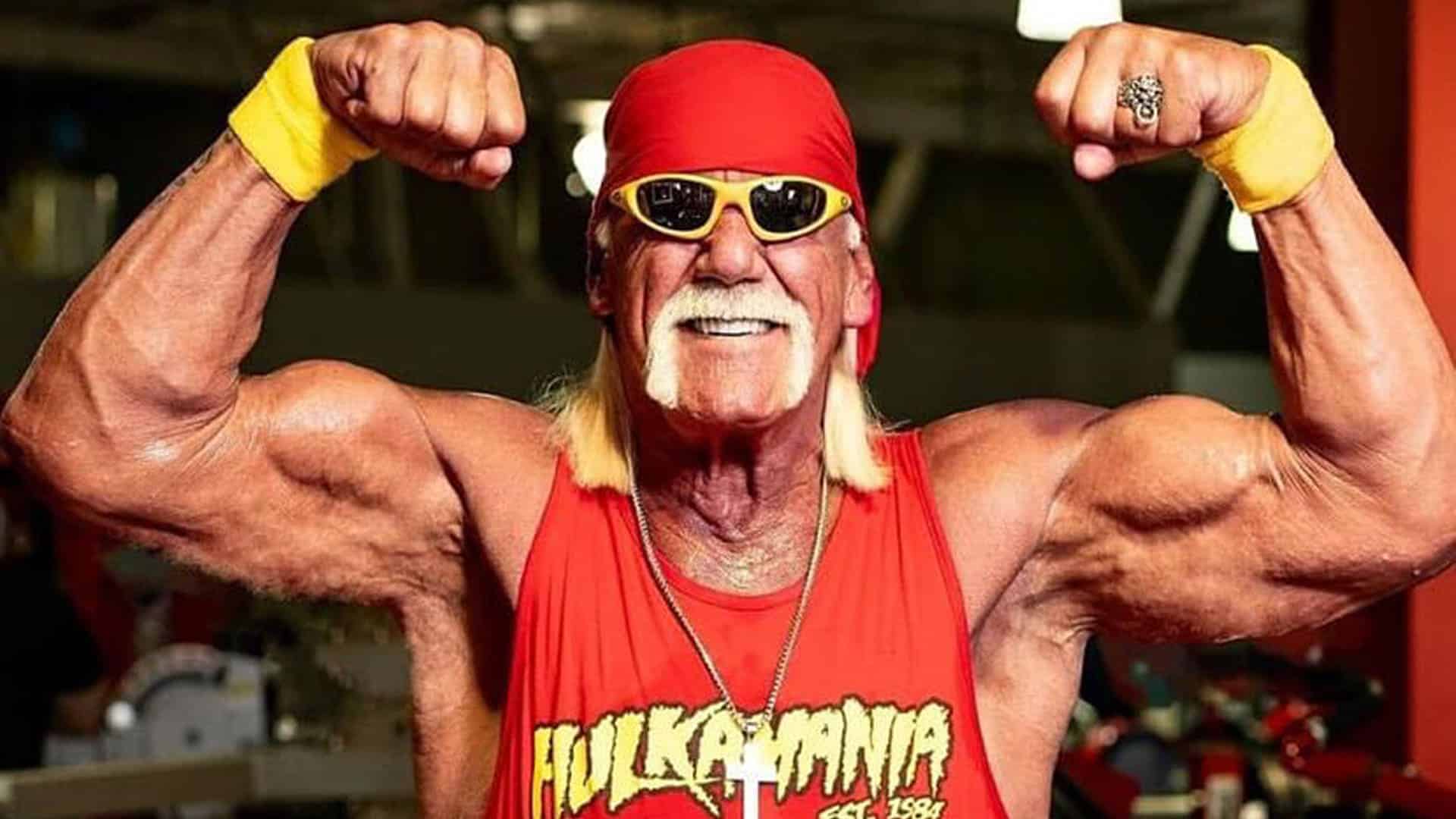 Hulk Hogan luchador