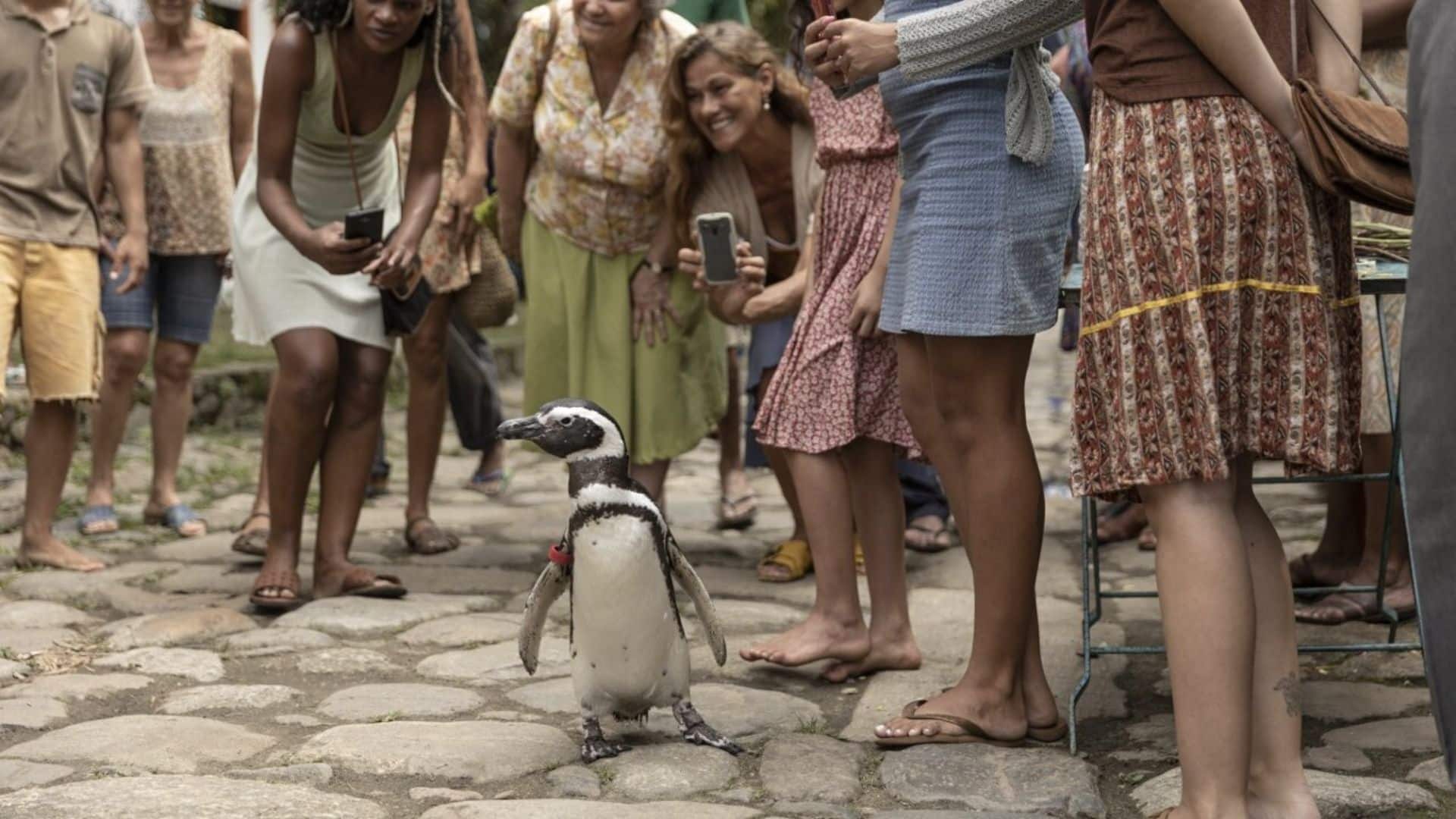 Te contamos por qué no puedes perderte esta película adorable sobre un hecho increíble de la vida real.
