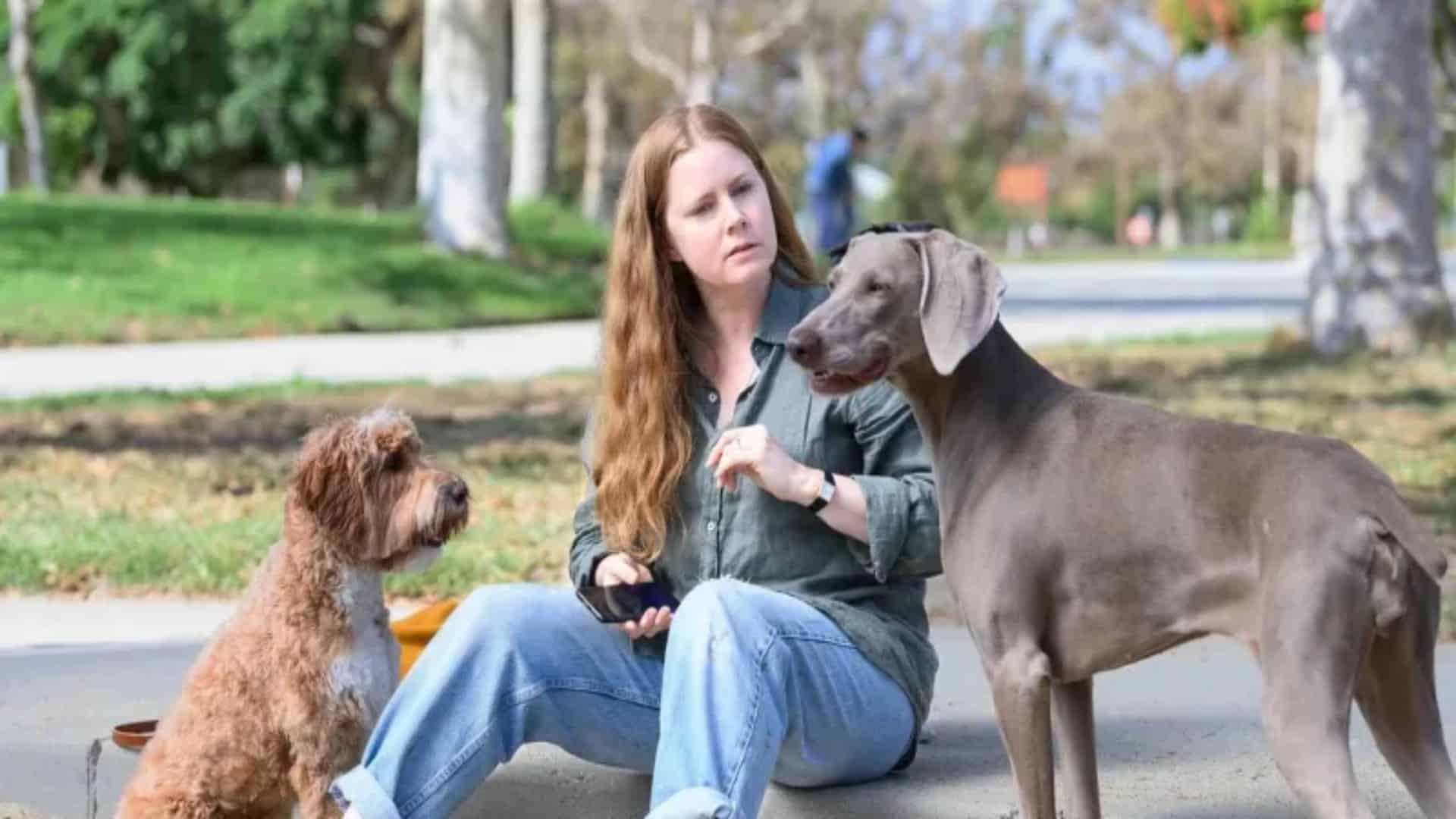 Amy Adams perros TIFF 2024