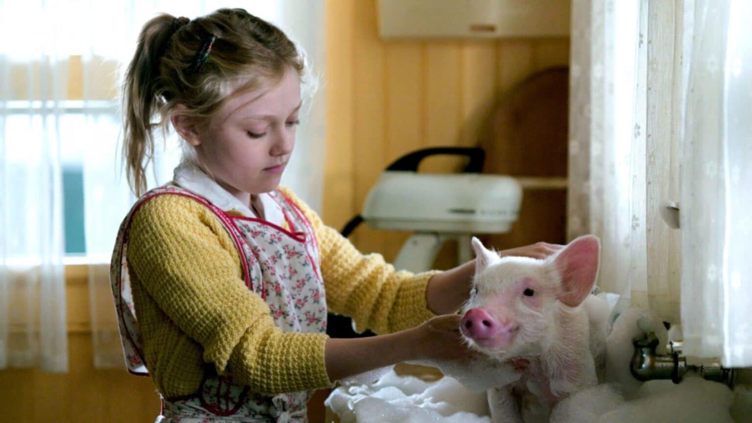 Las 10 mejores películas de Dakota Fanning Paloma & Nacho