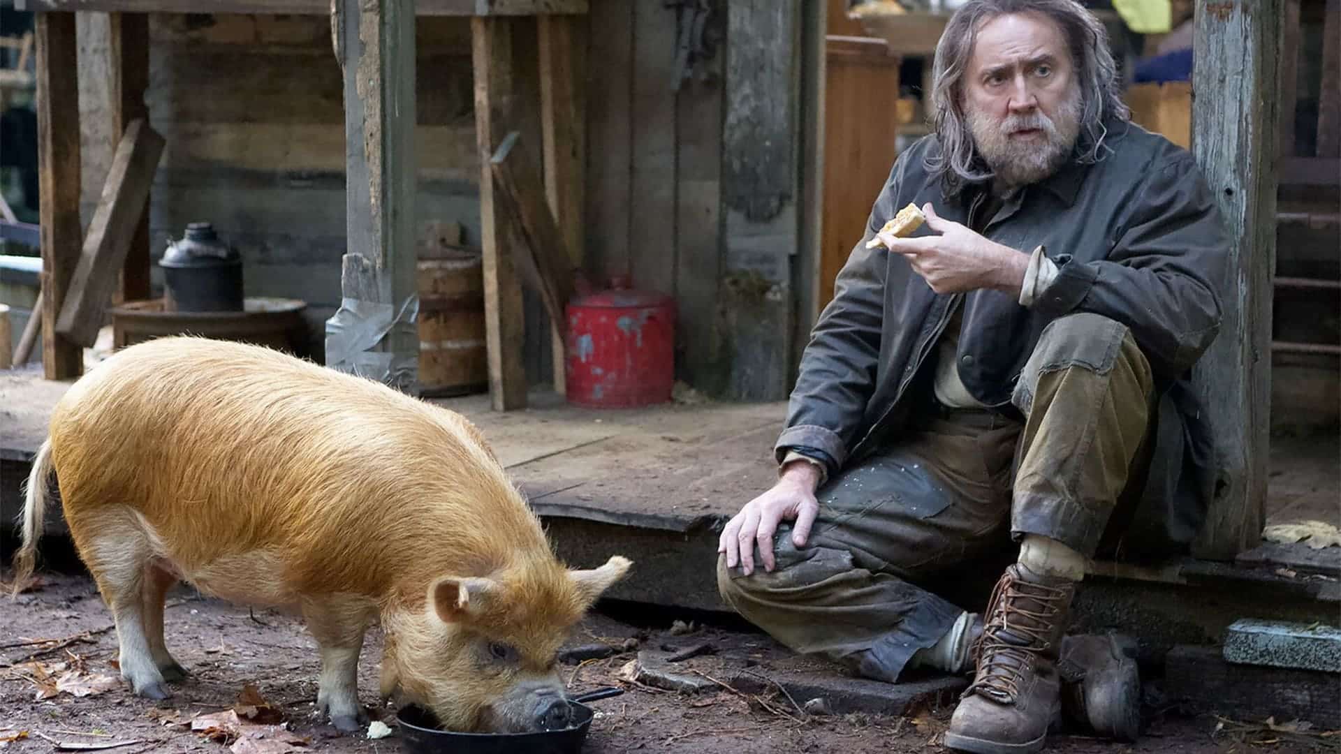 Nicolas Cage y un cerdito