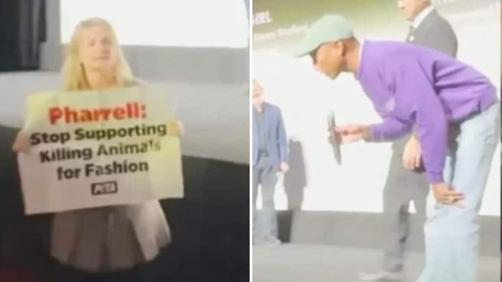 TIFF 2024: Pharrell Williams responde a manifestante que irrumpe premiere de biopic, Pieza por pieza