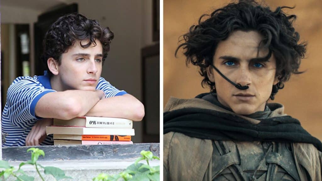 Las 9 mejores películas de Timothée Chalamet