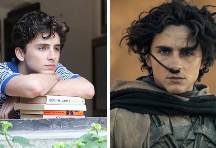 películas de Timothée Chalamet