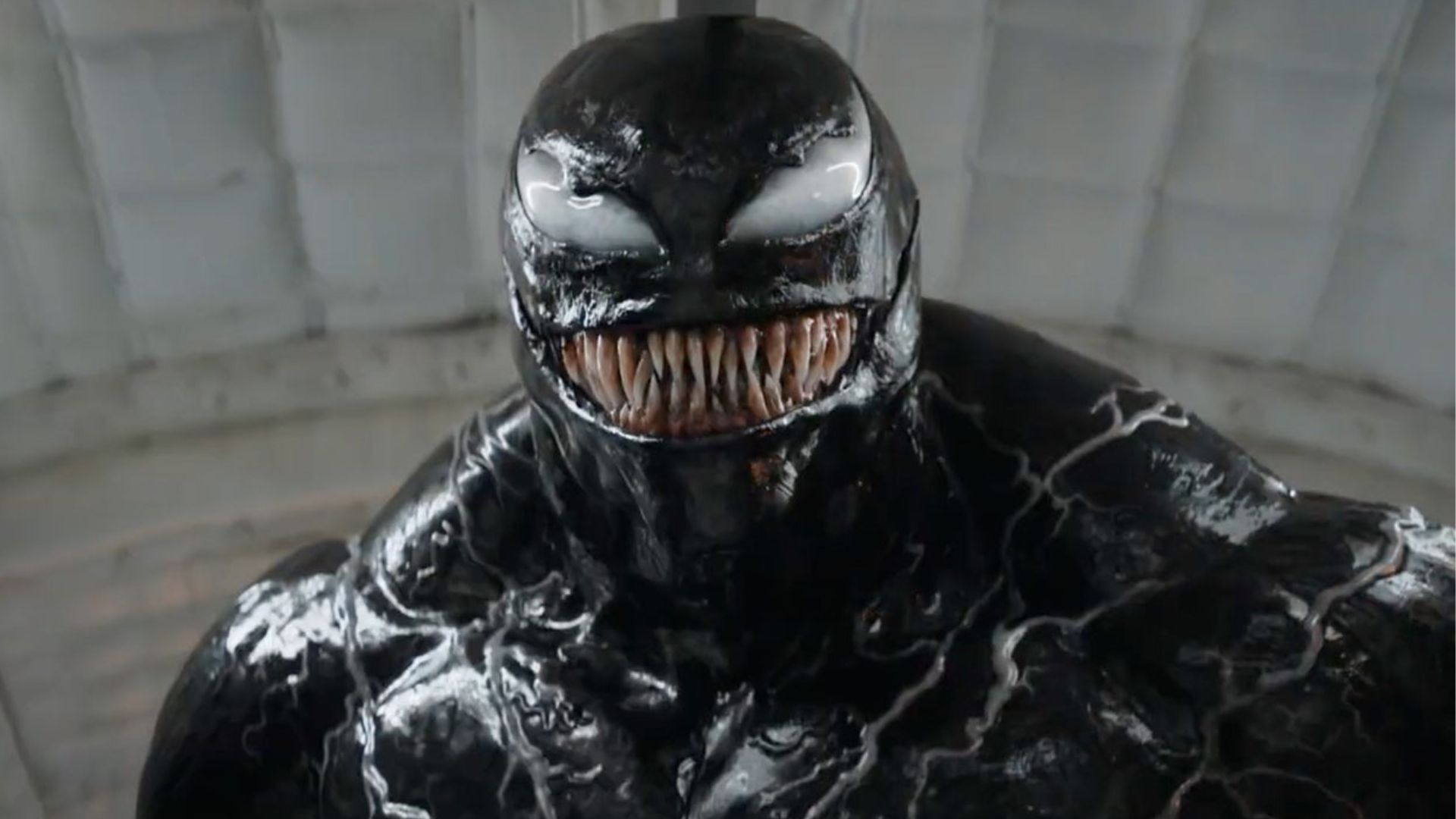 Venom 3 El último baile