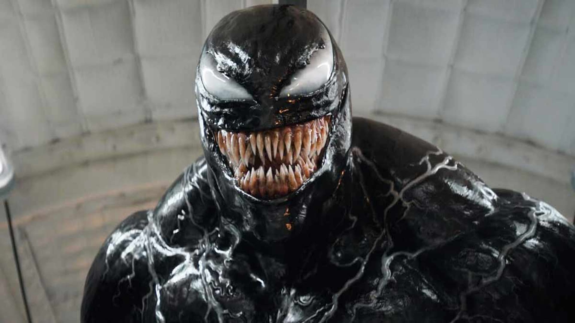 Venom el último baile