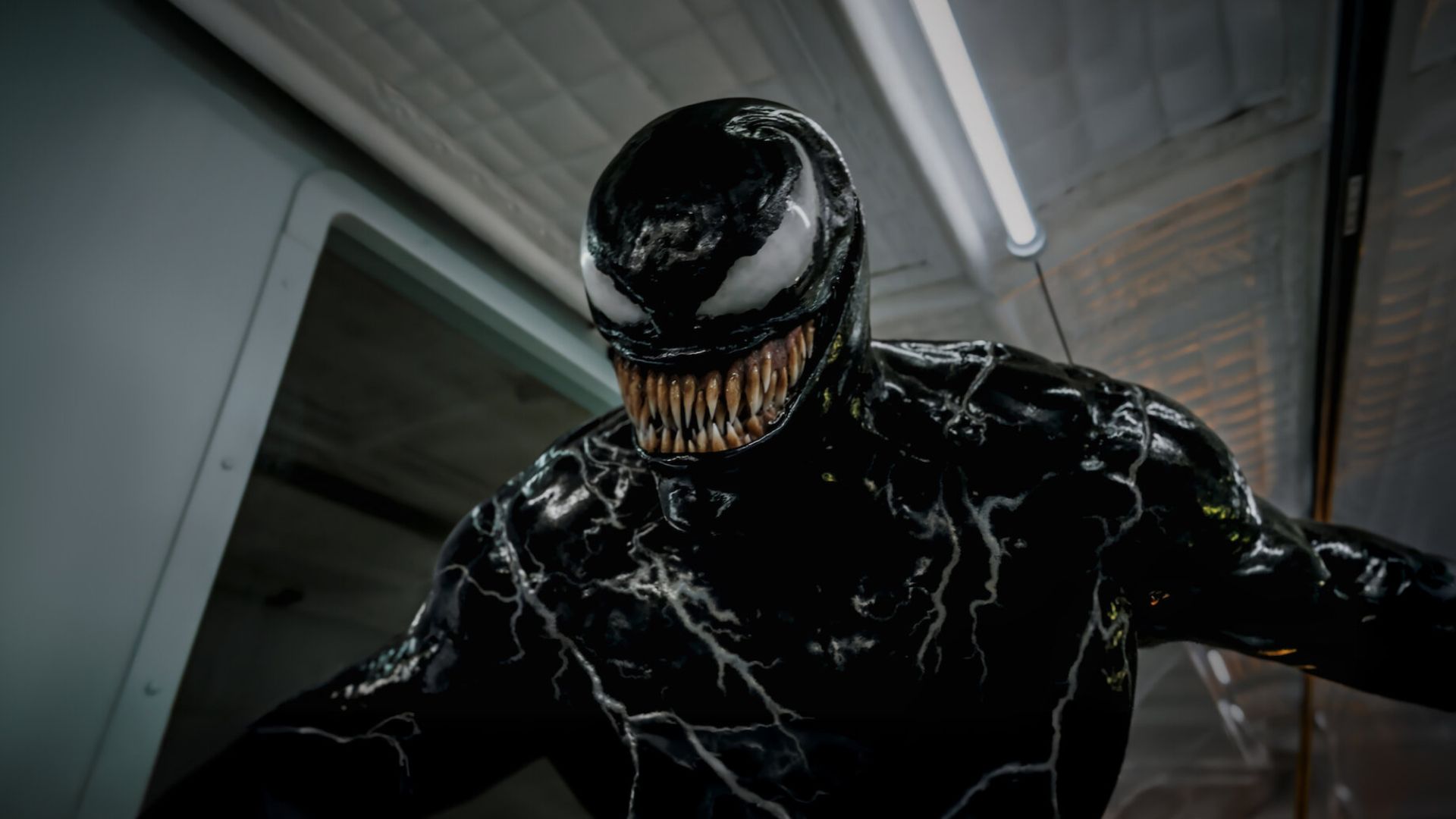 Venom El último baile octubre Levi's