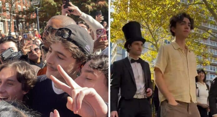 concurso dobles timothée chalamet