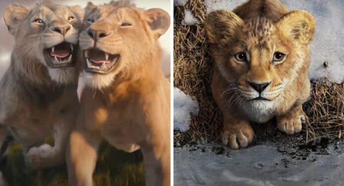 Mufasa funciones relajadas